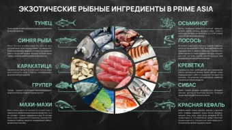 Банки Prime Asia для кошек с тунцом и креветки в желе
