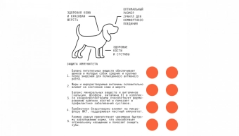 Корм AJO Dog Puppy & Junior с гречкой для щенков и молодых собак средних и крупных пород