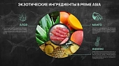 Банки Prime Asia для кошек с тунцом и креветки в желе