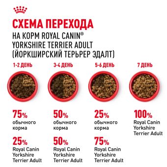 Корм для котят Royal Canin Kitten Корм сухой сбалансированный период второй фазы роста