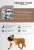 Корм Alphapet WOW Superpremium для взрослых собак средних пород с чувствительным пищеварением с ягненком и бурым рисом Корм Alphapet WOW Superpremium для взрослых собак средних пород с чувствительным пищеварением с ягненком и бурым рисом