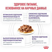 Паучи Royal Canin Neutered Balance для взрослых стерилизованных кошек, склонных к набору веса