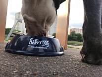 Дегустация в зоомагазине «Динозаврик» (Ул.Снежная, д.16к6)!