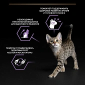Влажный корм PRO PLAN® HEALTHY START® для котят, беременных и кормящих кошек, кусочки с лососем в соусе Влажный корм PRO PLAN® HEALTHY START® для котят, беременных и кормящих кошек, кусочки с лососем в соусе