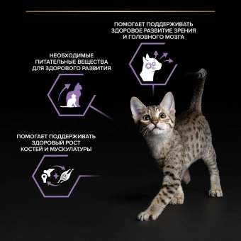 Влажный корм PRO PLAN® HEALTHY START® для котят, беременных и кормящих кошек, кусочки с лососем в соусе