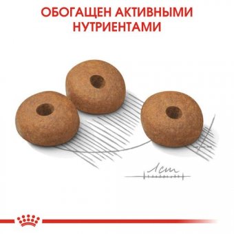 Корм Royal Canin Mini Light Weight Care для взрослых собак малых пород склонных к избыточному весу