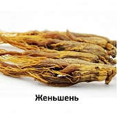 Сухой Корм Alleva Holistic Cat Neutered Chicken & Duck для стерил. кошек с курицей и уткой, волокнами сахарного тростника Сухой Корм Alleva Holistic Cat Neutered Chicken & Duck для стерил. кошек с курицей и уткой, волокнами сахарного тростника