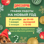 Динозаврик зоомагазин часы работы в новогодние праздники