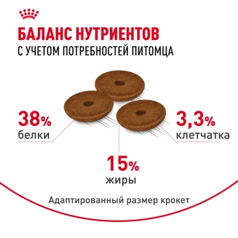 Корм Royal Canin Digestive Care для взрослых кошек с расстройством пищеварительной системы