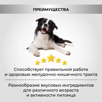 Корм Necon No Gluten Pesce E Riso для взрослых собак всех пород с белой рыбой и рисом