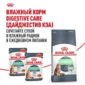Сухой Корм Royal Canin Digestive Care для взрослых кошек с расстройством пищеварительной системы