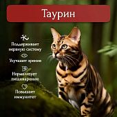 Банки BioMenu adult cat для кошек мясной паштет с ягненком 95% мясо Банки BioMenu adult cat для кошек мясной паштет с ягненком 95% мясо