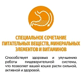 Сухой Корм Karmy Hair & Skin для кошек, поддерживающий здоровье кожи и шерсти с лососем Сухой Корм Karmy Hair & Skin для кошек, поддерживающий здоровье кожи и шерсти с лососем