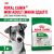 Корм для собак Royal Canin Mini Adult Корм сухой для взрослых собак мелких размеров от 10 месяцев
