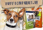 Слышали? Happy Dog возвращается!