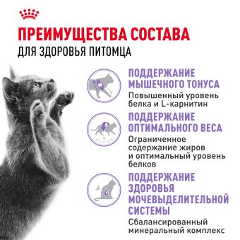 Корм для кошек Royal Canin Sterilised 37 сухой сбалансированный для стерилизованных кошек