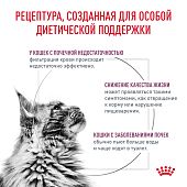 Паучи Royal Canin Renal для кошек для поддержания функции почек с говядиной в соусе