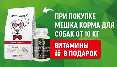 При покупке сухого корма для собак от 10кг витамины в подарок марки Best Dinner!