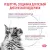 Паучи Royal Canin Renal для кошек для поддержания функции почек с говядиной в соусе