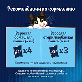 Влажный корм для кошек Felix : мультипак с рыбой, пауч 85 г. Х 48 шт.