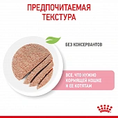 Консервы Royal Canin Babycat Instinctive (мусс) для котят с момента рождения до 4 месяцев