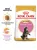 Royal Canin Maine Coon Kitten корм сухой сбалансированный для котят породы Мэйн Кун Royal Canin Maine Coon Kitten корм сухой сбалансированный для котят породы Мэйн Кун