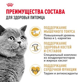 Корм сухой сбалансированный Royal Canin British Shorthair Adult для взрослых британских короткошерстных кошек