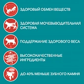 Паучи Purina One Sterilised Cat для стерилизованных кошек с говядиной