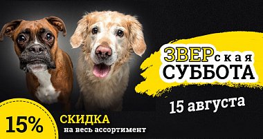 ЗВЕРская распродажа зоотоваров в августе!