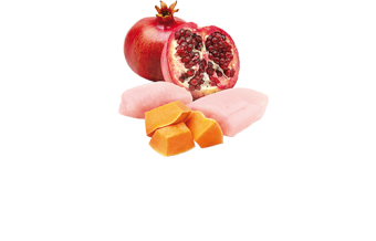 Банки Farmina N&D Pumpkin Cat Pumpkin & Pomegranate для кошек с курицей, тыквой и гранатом