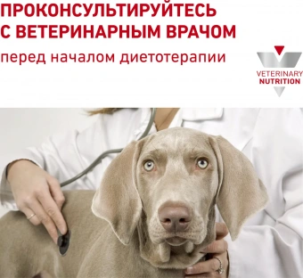 Корм Royal Canin Mobility C2P+ для собак при заболеваниях опорно-двигательного аппарата