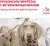 Корм Royal Canin Mobility C2P+ для собак при заболеваниях опорно-двигательного аппарата Корм Royal Canin Mobility C2P+ для собак при заболеваниях опорно-двигательного аппарата