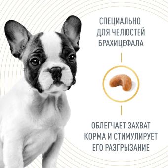 Корм Royal Canin French Bulldog Puppy для щенков породы Французский бульдог