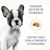Корм Royal Canin French Bulldog Puppy для щенков породы Французский бульдог Корм Royal Canin French Bulldog Puppy для щенков породы Французский бульдог