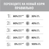 Сухой Корм Karmy Maine Coon для взрослых кошек старше 1 года с индейкой Сухой Корм Karmy Maine Coon для взрослых кошек старше 1 года с индейкой