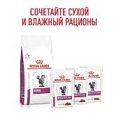 Паучи Royal Canin Renal для кошек для поддержания функции почек с рыбой в соусе