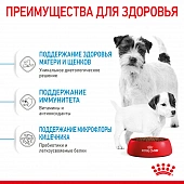 Royal Canin Mini Starter корм для щенков мелких размеров до 2-х месяцев, беременных и...