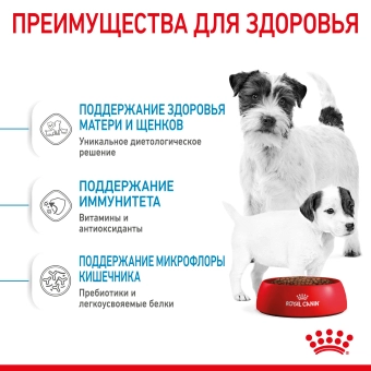 Royal Canin Mini Starter корм для щенков мелких размеров до 2-х месяцев, беременных и кормящих сук