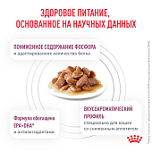 Паучи Royal Canin Renal для кошек для поддержания функции почек с рыбой в соусе