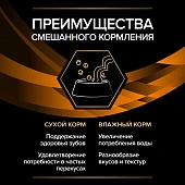 Влажный корм для кошек PRO PLAN® VETERINARY DIETS OM ST/OX Obesity Management для избыточной массе тела, с курицей