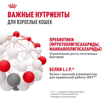 Корм Royal Canin Digestive Care для взрослых кошек с расстройством пищеварительной системы