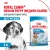 Корм для собак Royal Canin Medium Puppy Корм сухой для щенков средних размеров до 12 месяцев