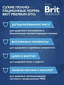 Сухой Корм Brit Premium Cat Kitten для котят, беременных и кормящих кошек с курицей в лососевом соусе Сухой Корм Brit Premium Cat Kitten для котят, беременных и кормящих кошек с курицей в лососевом соусе