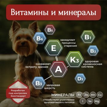 Банки BioMenu adult для собак мясное ассорти