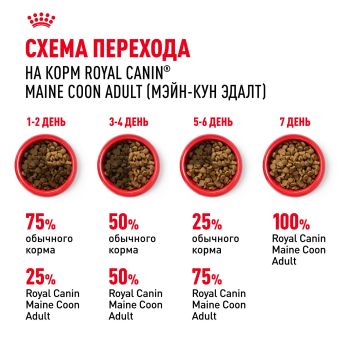 Корм для кошек Royal Canin Maine Coon Adult Корм сухой сбалансированный для взрослых кошек породы Мэйн Кун