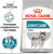 Корм Royal Canin Maxi Joint Care для собак крупных размеров склонных к развитию суставных патологий