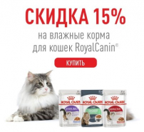 Скидка 15% на паучи для кошек марки Royal Canin!