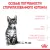 Royal Canin Kitten Sterilised корм сухой сбалансированный для стерилизованных котят до 12 месяцев Royal Canin Kitten Sterilised корм сухой сбалансированный для стерилизованных котят до 12 месяцев
