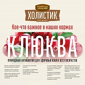 Сухой Корм Деревенские Лакомства Холистик Премьер для кошек с говядиной для кастрированных и стерилизованных