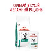 Паучи Royal Canin Satiety Weight Management для кошек, рекомендуемый для снижения веса